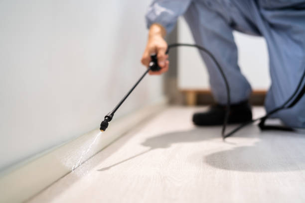 Licensed Cockroach Control service in La Joya, TX - Nex Pest Control