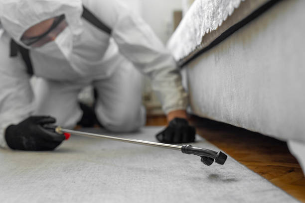 Professional Cockroach Control technician working in La Joya, TX