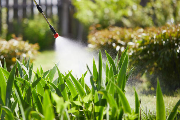 24/7 Emergency Cockroach Control experts in La Joya, TX