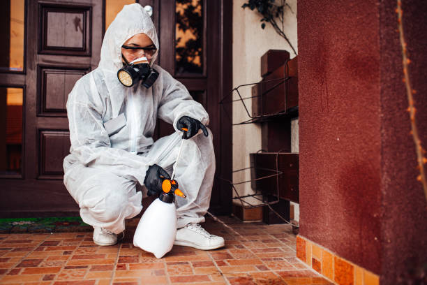 Reliable Cockroach Control contractor in La Joya, TX by Nex Pest Control