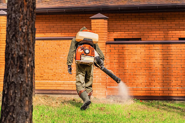 Trusted Fumigation Services service in La Joya, TX - Nex Pest Control